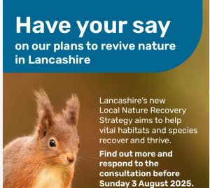 Have Your Say